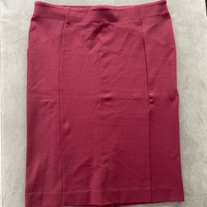 Ann Taylor Pencil Skirt